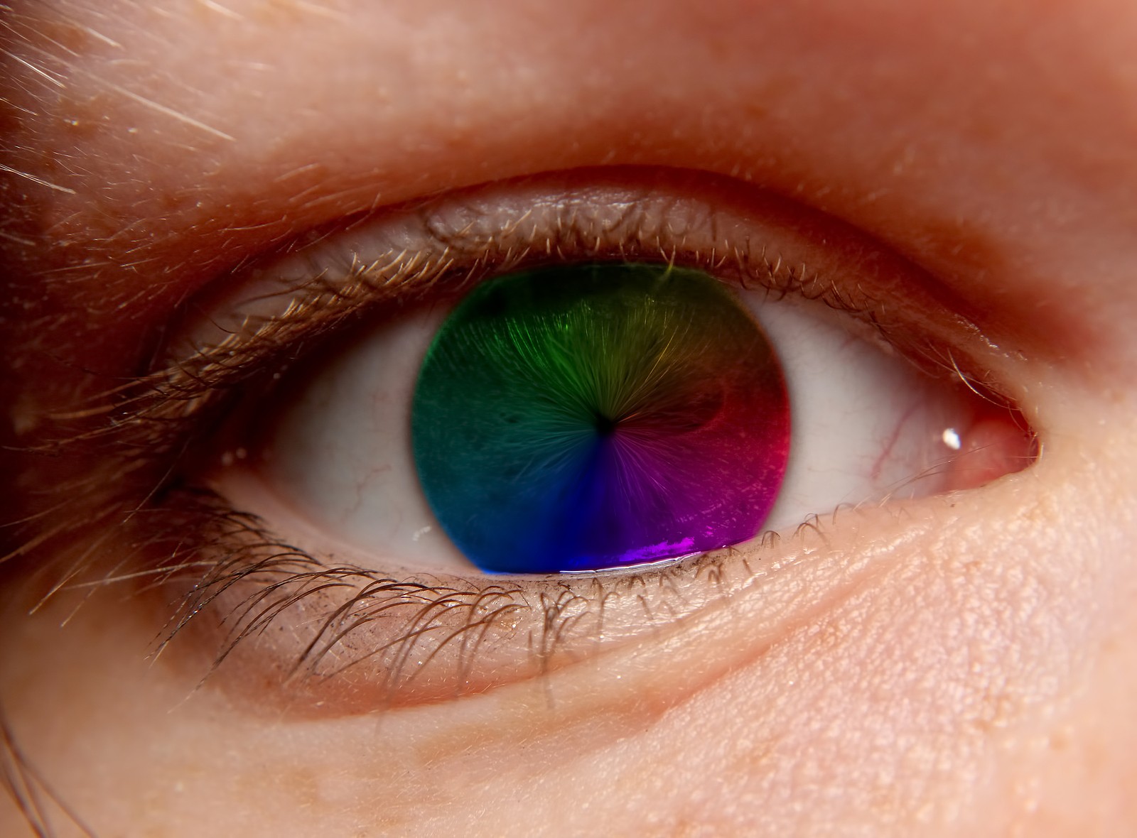 Rarest Eye Color: What it Is and Why